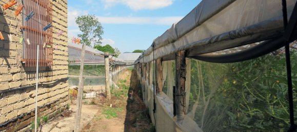 3-Zimmer Villa in Fondi, Italy, Nr. 198905 21