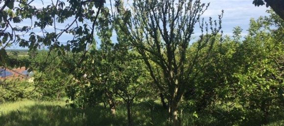 2400m² Land in Givoletto, Italy No. 7966 7