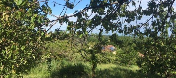 2400m² Land in Givoletto, Italy No. 7966 6