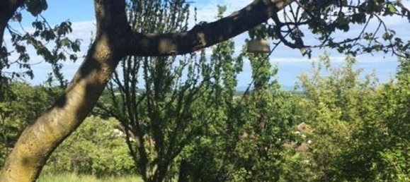 2400m² Land in Givoletto, Italy No. 7966 4