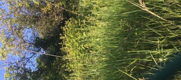 2400m² Land in Givoletto, Italy No. 7966 3