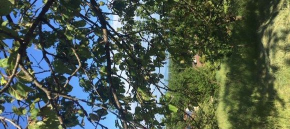 2400m² Land in Givoletto, Italy No. 7966 10