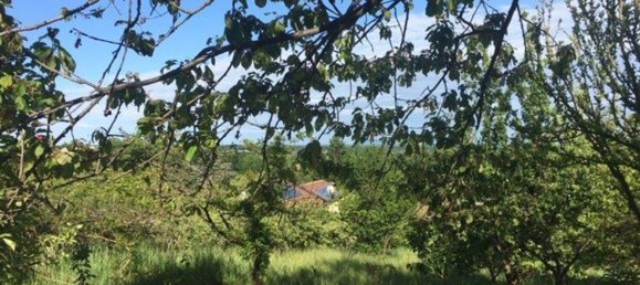 2400m² Land in Givoletto, Italy No. 7966 5