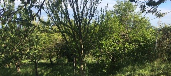 2400m² Land in Givoletto, Italy No. 7966 8