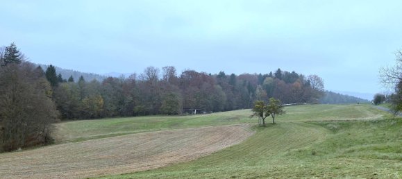 25755m² Land in Kirchbach-Zerlach, Austria No. 225349 3