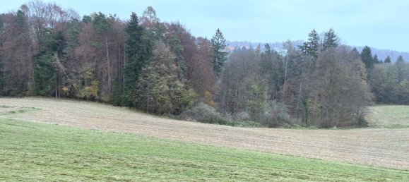 25755m² Land in Kirchbach-Zerlach, Austria No. 225349 4