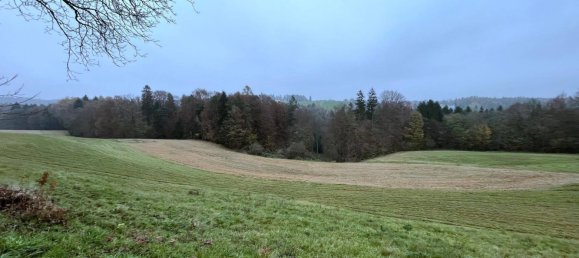 25755m² Land in Kirchbach-Zerlach, Austria No. 225349 6