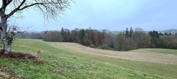 25755m² Land in Kirchbach-Zerlach, Austria No. 225349 7