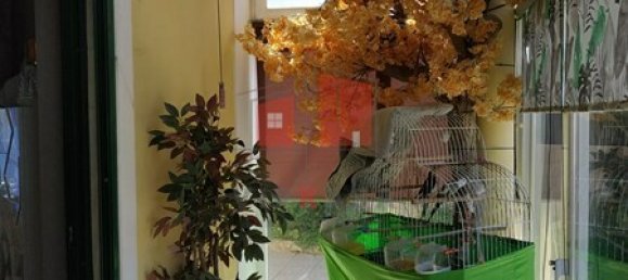 5 غرف نوم منزل في Ericeira, Portugal رقم 182391 8