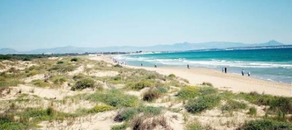 3 bedrooms Villa in La Marina, Spain No. 12371 6