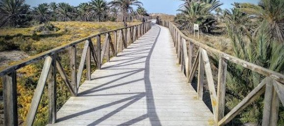 3 bedrooms Villa in La Marina, Spain No. 12371 5