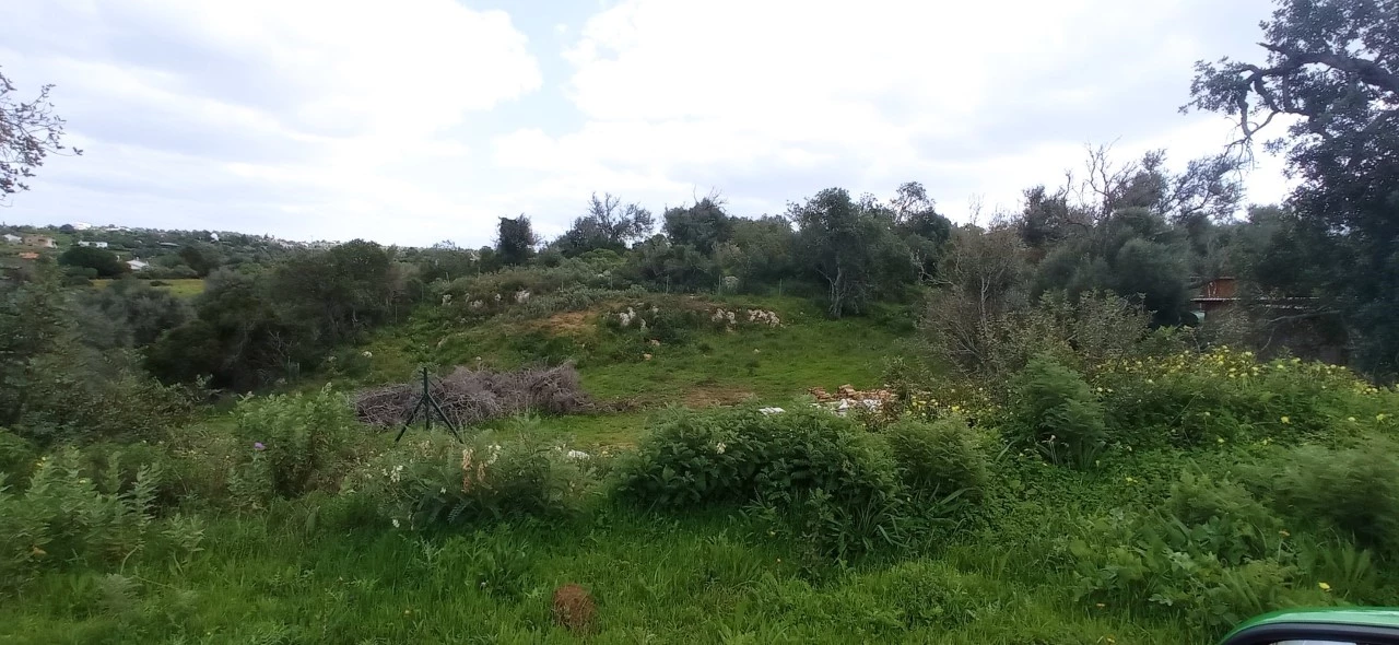 100073m² Land in Guia, Portugal No. 10101