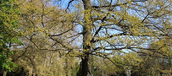 Apartamento de 3 divisões em Cologne, Germany N.º 175357 10