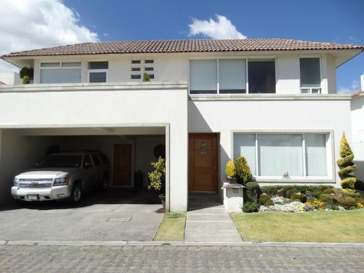 4 bedrooms House in Mexico No. 214577