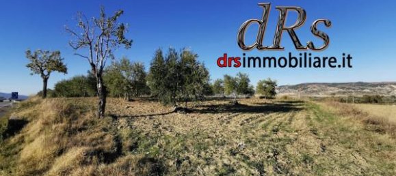 Terrain à Pisticci, Italy 50000m² No. 144138 14