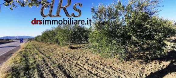 Terrain à Pisticci, Italy 50000m² No. 144138 13