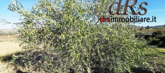 Terrain à Pisticci, Italy 50000m² No. 144138 15