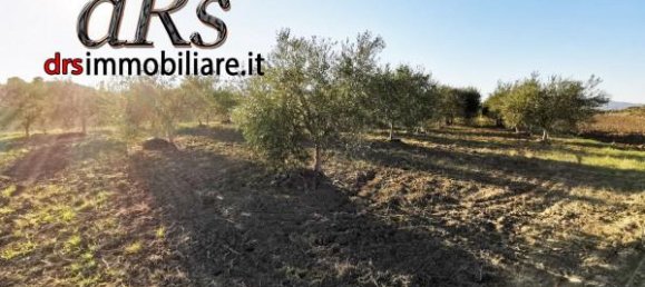 Terrain à Pisticci, Italy 50000m² No. 144138 17