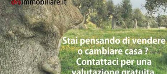 Terrain à Pisticci, Italy 50000m² No. 144138 19