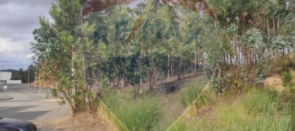  قطعة أرض في Leiria, Portugal 374متر مربع رقم 74403 3