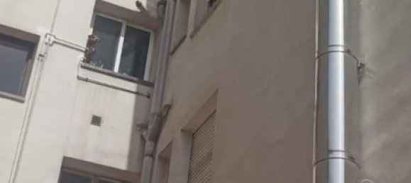 عقار تجاري في Oviedo, Spain 173متر مربع رقم 149767 15