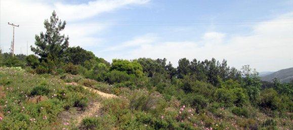 4700m² Hotel in Kavala, Greece No. 7836 5