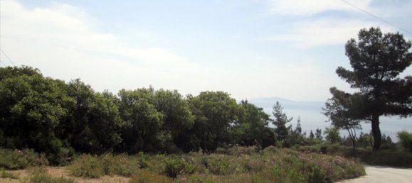 4700m² Hotel in Kavala, Greece No. 7836 4