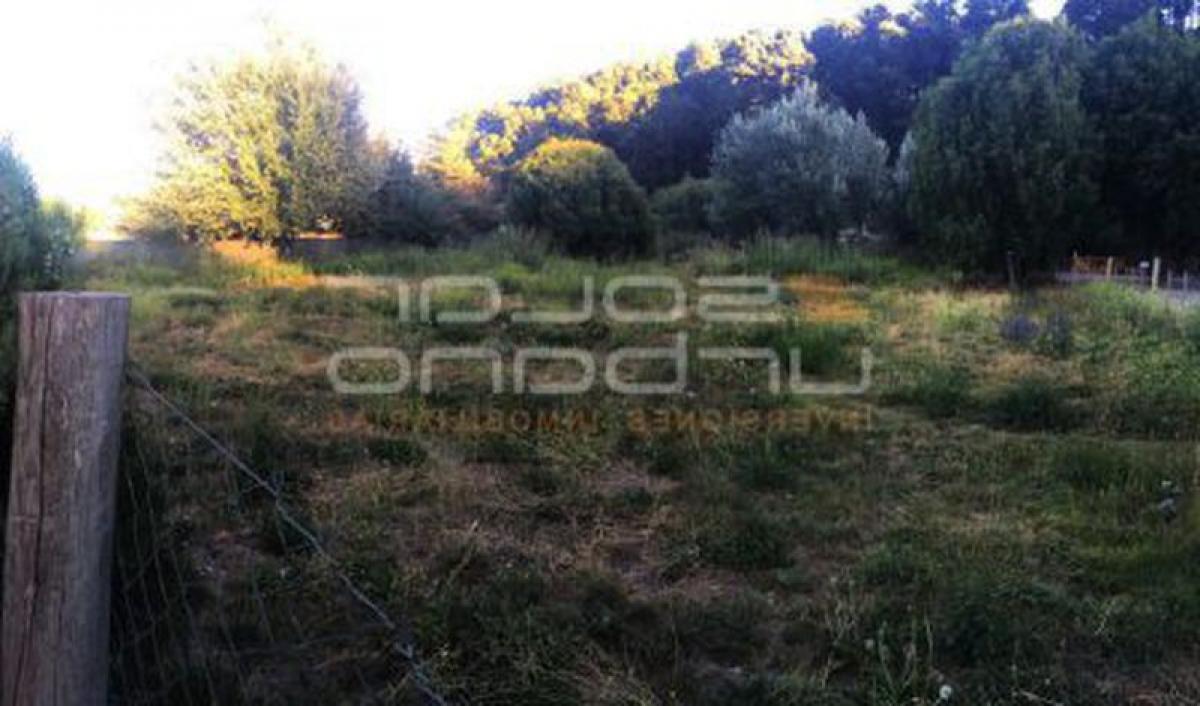  قطعة أرض في Neuquen, Argentina رقم 49962