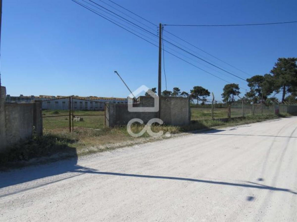 Grundstück in Palmela, Portugal, Nr. 8560