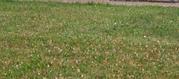 1 chambre Appartement à Stendal, Germany No. 284309 2