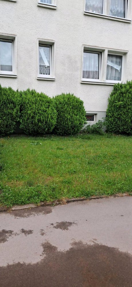 1 chambre Appartement à Stendal, Germany No. 284309