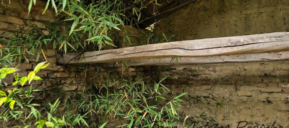 8 rooms Apartment in Saint-Lys, France No. 298617 31