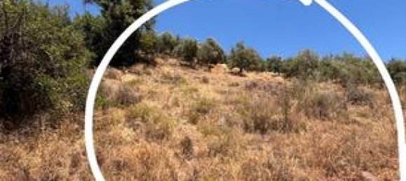 1000m² Land in Puerto De La Torre, Spain No. 184969 4