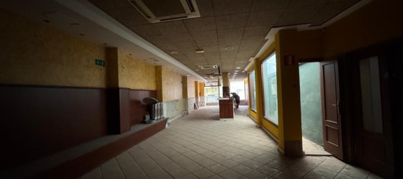 Коммерческая недвижимость 250м² в Валенсия, Испания № 172285 27