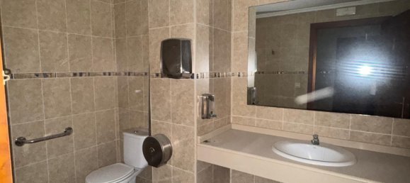 Коммерческая недвижимость 250м² в Валенсия, Испания № 172285 13