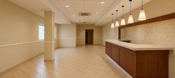 Коммерческая недвижимость 250м² в Валенсия, Испания № 172285 34