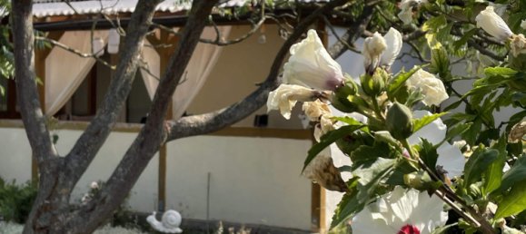 3 غرف نوم منزل في Salzlandkreis, Germany رقم 25175 27