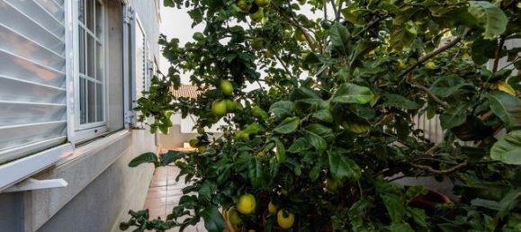 4 bedrooms House in Sintra, Portugal No. 181807 36