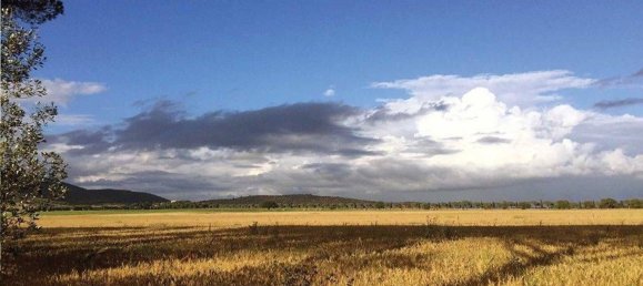 500m² Commercial property in Castiglione della Pescaia, Italy No. 210900 3