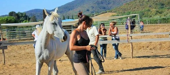 500m² Commercial property in Castiglione della Pescaia, Italy No. 210900 17