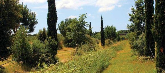 500m² Commercial property in Castiglione della Pescaia, Italy No. 210900 2