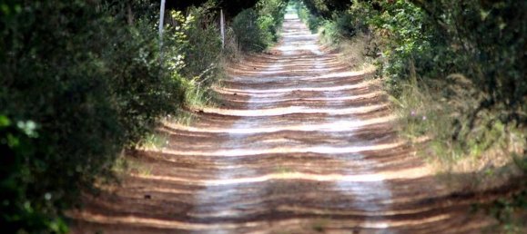 500m² Commercial property in Castiglione della Pescaia, Italy No. 210900 19