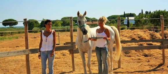 500m² Commercial property in Castiglione della Pescaia, Italy No. 210900 16