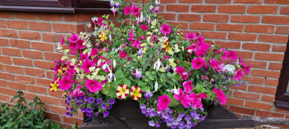 4 bedrooms House in Huntingdon, United Kingdom No. 13566 11