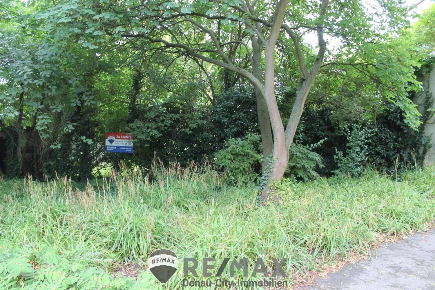 521m² Land in Penzing, Austria No. 132963