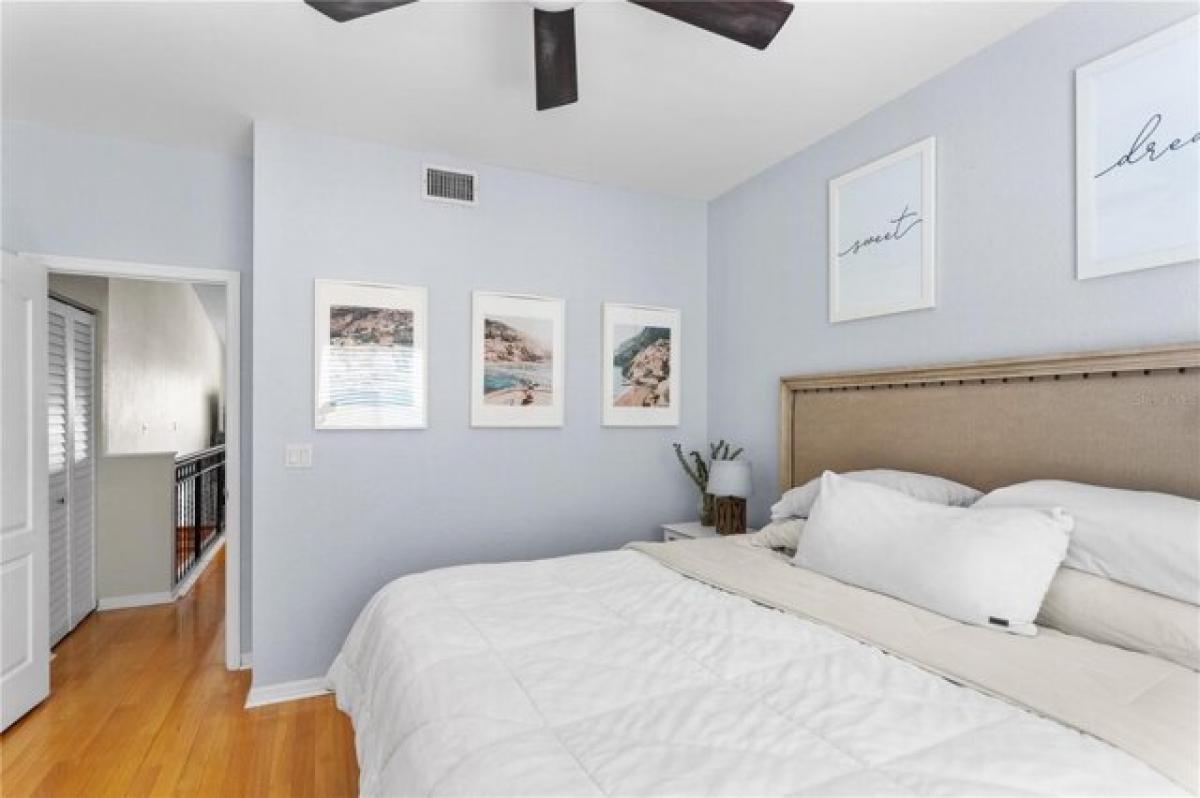 Studio in Tampa, USA No. 339881