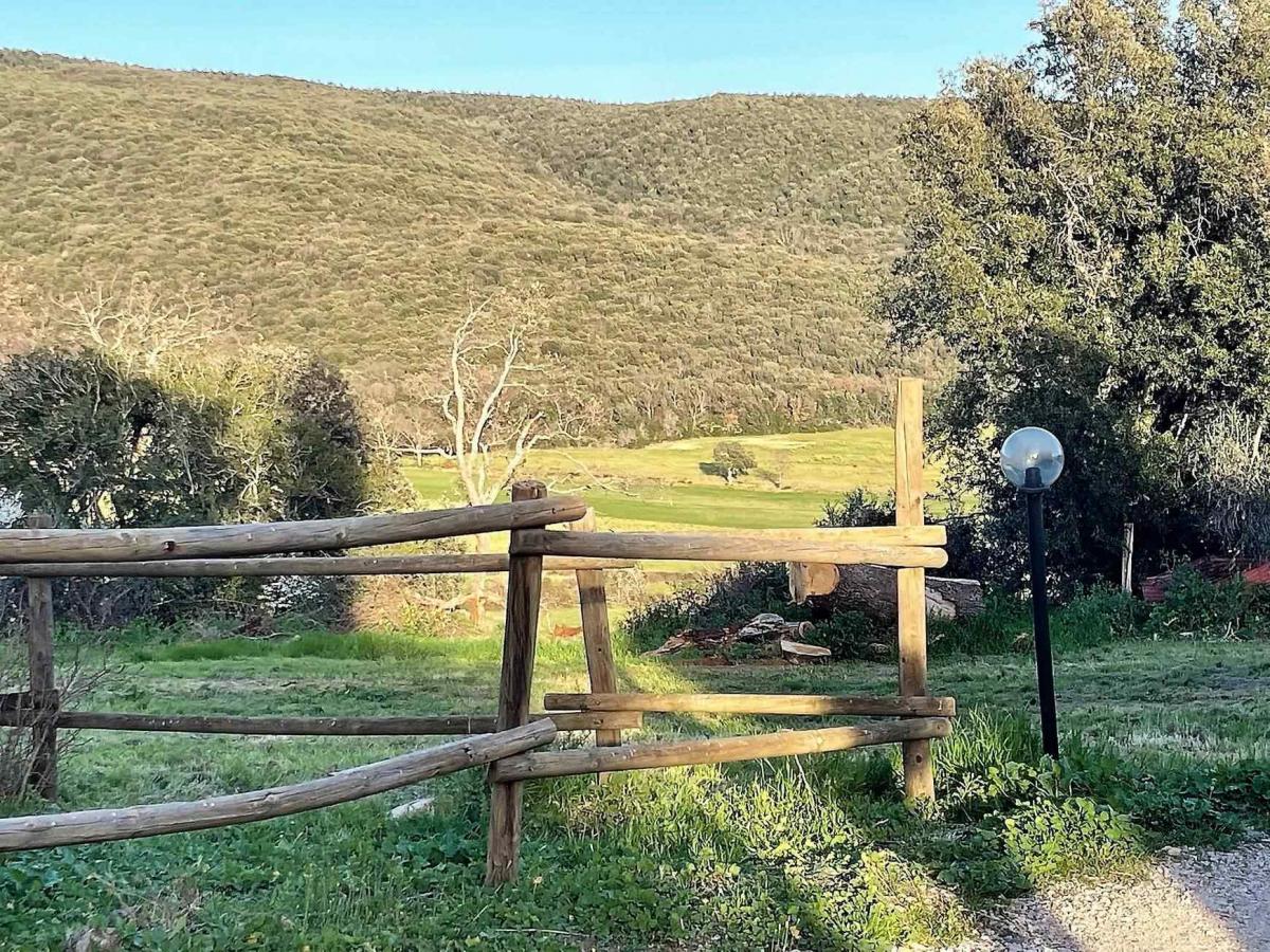  Land in Massa Marittima, Italy No. 1217