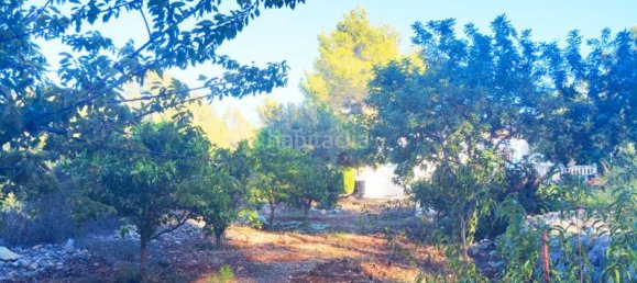 2 chambres Maison à Parcent, Spain No. 42355 14