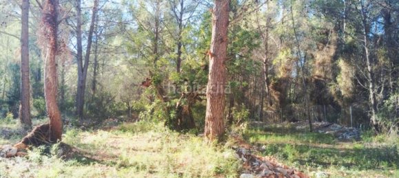 2 chambres Maison à Parcent, Spain No. 42355 8