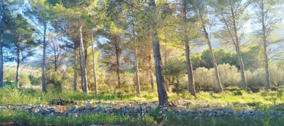 2 chambres Maison à Parcent, Spain No. 42355 18